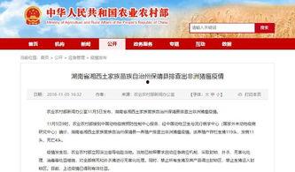 最新爆料湖南新闻,最新爆料揭示惊人内幕！